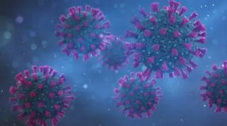 Badacze odkryli nowy wariant koronawirusa. Czy jest niebezpieczny?  