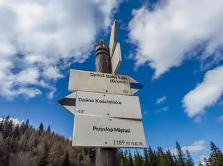 Drogowskazy na szlaku górskim