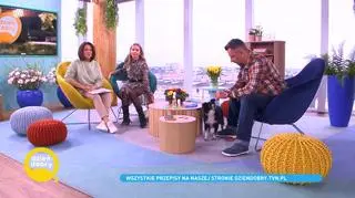 Mały kleszcz - duży problem