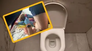 Głowa 2-latka utknęła w nakładce na sedes. Musiała interweniować straż pożarna 