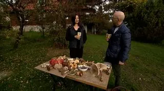Jak odróżnić grzyby jadalne od trujących?
