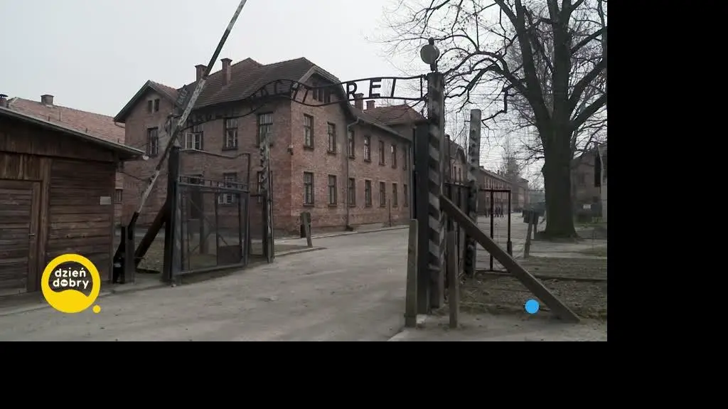 DD_20240408_StrefaInteresow_REP