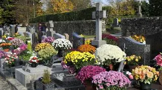 Ceny chryzantem będą wyższe niż w zeszłym roku? 