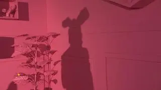Pogoda na dziś 