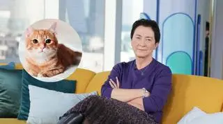 Kot może używać ponad 100 różnych dźwięków. Ekspertka: "Są one przeznaczone dla człowieka" 