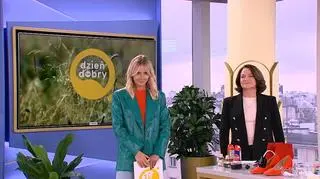 Domowe SPA dla butów – renowacja i zabezpieczenie