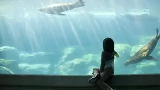 Nie żyje jedna z najstarszych mieszkanek warszawskiego ZOO. "Była od zawsze"