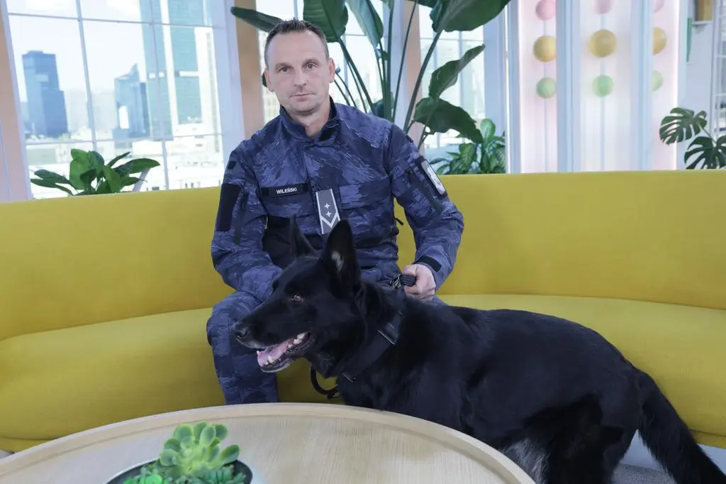 Węszyła za materiałami wybuchowymi. Teraz czas na odpoczynek
