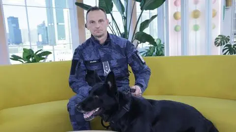 Węszyła za materiałami wybuchowymi. Teraz czas na odpoczynek