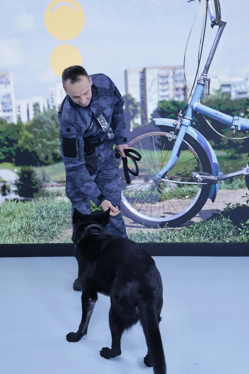 Węszyła za materiałami wybuchowymi. Teraz czas na odpoczynek