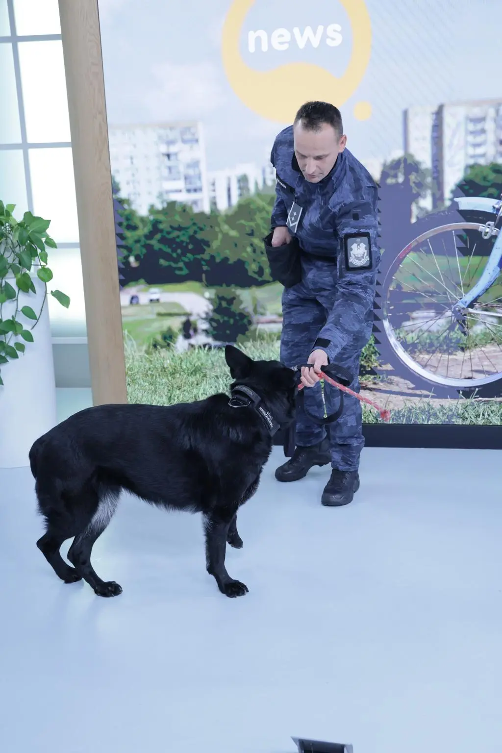 Węszyła za materiałami wybuchowymi. Teraz czas na odpoczynek