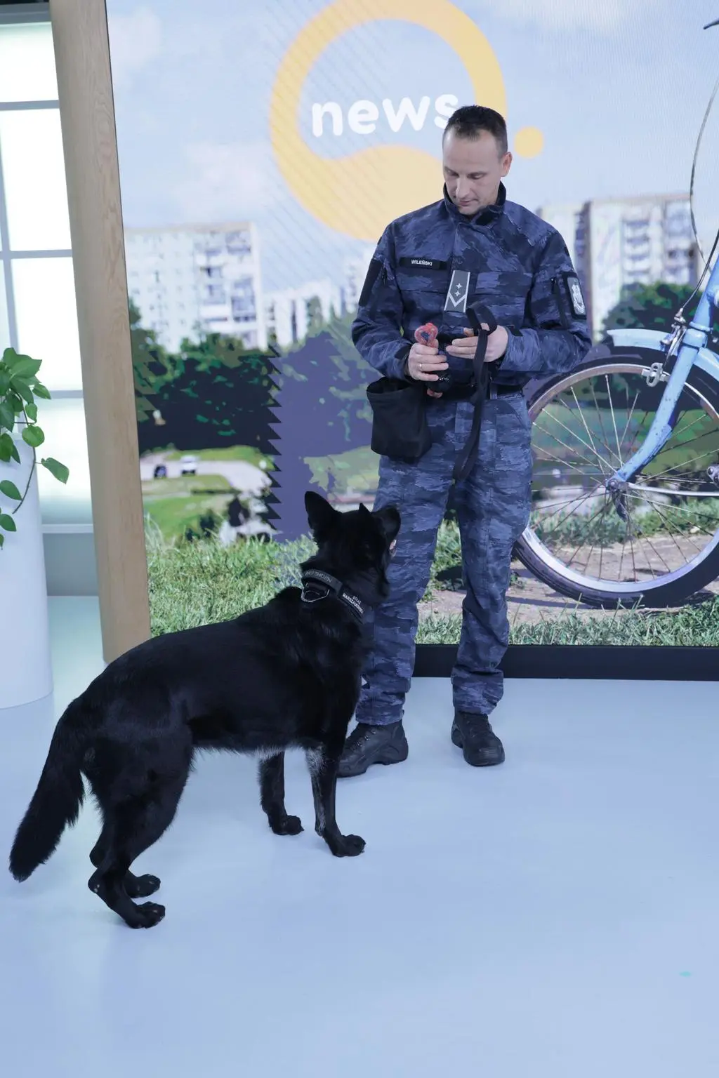 Węszyła za materiałami wybuchowymi. Teraz czas na odpoczynek