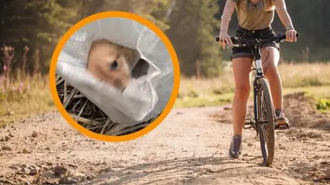 Sunia Lola uratowana 