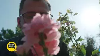 Zaklinacz róż