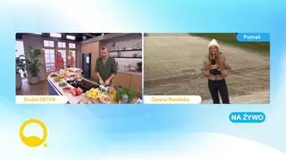 Jogurt w roli głównej 