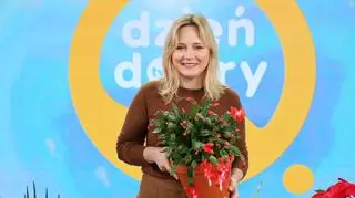 Rośliny na parapecie - co zrobić, żeby przetrwały zimę? Ekspertka zdradza sprawdzone sposoby