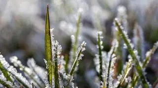 Pogoda na czwartek. Będzie słonecznie, ale nie ciepło