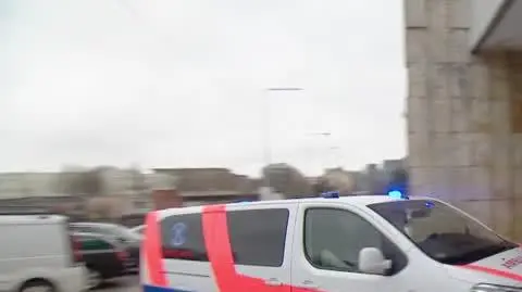 DD_20240210_Przeszczepy_rep_REP_ok