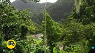 Z Puszczykowa na Gwadelupę