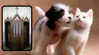 Nazywamy zwierzęta ludzkimi imionami. Czy to grzech? 