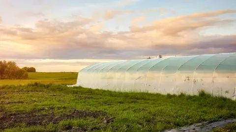 Tunel foliowy – jak zbudować? Tworzenie szkieletu | Dzień Dobry TVN