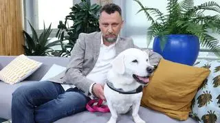 Czy twój pupil śpi z tobą w łóżku? "Potrafi załamać najbardziej romantyczną atmosferę"