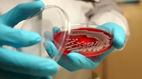 Czy uda się pokonać superbakterie? 