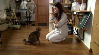 Kocie sztuczki - tego możesz nauczyć swojego kota - napisy