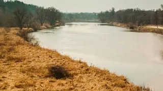 Pogoda na poniedziałek 5 lutego. Czy przestanie wiać?