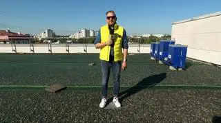 Pszczoły zamieszkały na dachu głównej siedziby TVN-u. "Praca wre od samego rana"