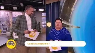 Kot Gacek 