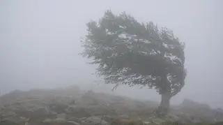Nad Polskę dotarł cyklon Ulf. Synoptycy ostrzegają przed wichurami i burzami - wydano alerty RCB