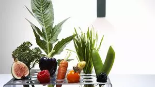 Rośliny genetycznie edytowane - owoce i warzywa w laboratorium