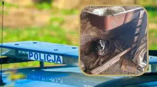 76-latka znęcała się nad zwierzętami na oczach chorego wnuczka? "Biłam, kiedy zasłużył"  