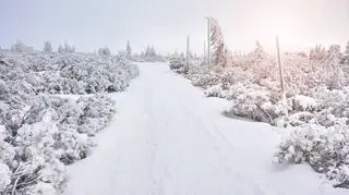 lawina w Karkonoszach