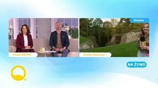 “Czarny kot przynosi szczęście” 