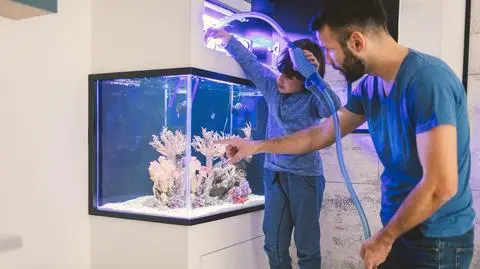 Filtr kaskadowy do akwarium – jakie ma zalety?