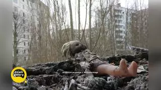 Jak wygląda Czarnobyl 35 lat po wybuchu elektrowni? "Miasto zamieniło się w las"