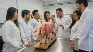 Na lekcji biologii uczniowie zobaczyli wnętrzności świni. Sanepid alarmuje