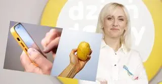 Jak nie dać się oszukać w sieci?