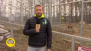 Zwierzęta z kijowskiego zoo przyjechały do Poznania 