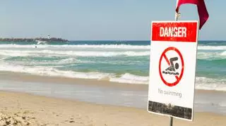 Niebezpieczne gatunki zwierząt przy plażach. Wydano ostrzeżenia