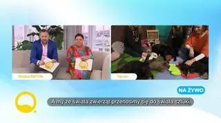 Recepta na udany i trwały związek (napisy)