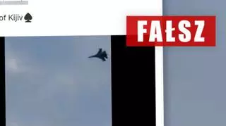 Rosyjski samolot strącony przez ukraiński? Nie, to symulacja komputerowa