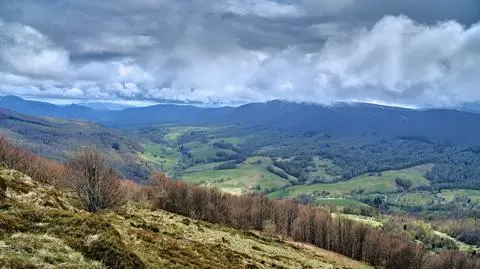 Jak wyglądają Bieszczady po pożarach? To prawdziwy koszmar