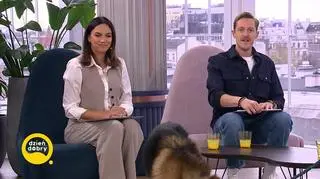 Obalamy mit o zachowaniu psów