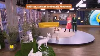 Początek programu