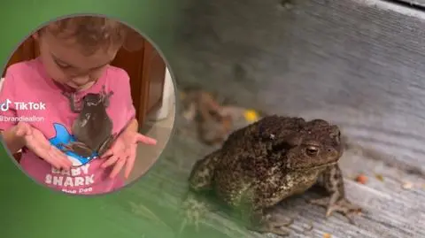 Projekt bez tytułu - 2023-03-01T092944