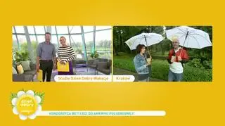 Kondorzyca Beti leci do Ameryki Południowej
