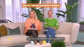 Kto kłamie, a kto mówi prawdę? - napisy